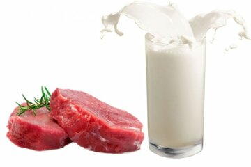 молоко и мясо
