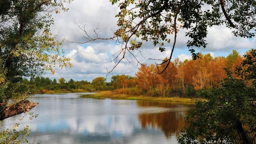 Прогноз погоди в Україні / Фото: Pixabay
