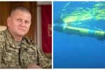 Валерій Залужний, морські дрони, війна Росії проти України
