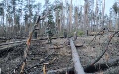 Серебрянское лесничество