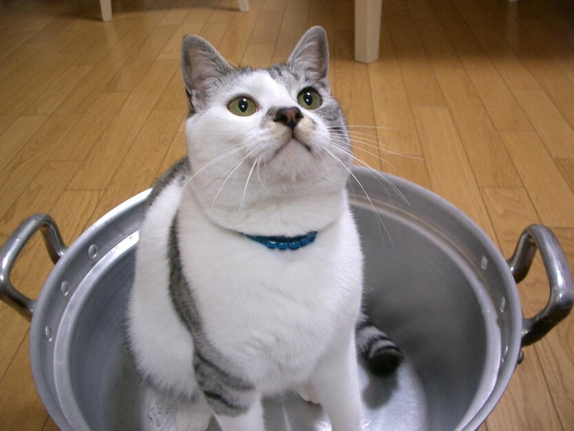 Відключення гарячої води