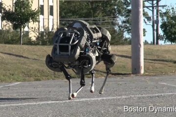 boston-dynamics-robotyi