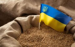 Імпорт українського зерна / Фото: Depositphotos