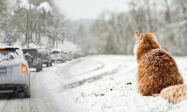 Погода в Украине