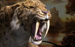 sablezubyiy-tigr