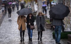 5cc800bc370f2c274c8b4570