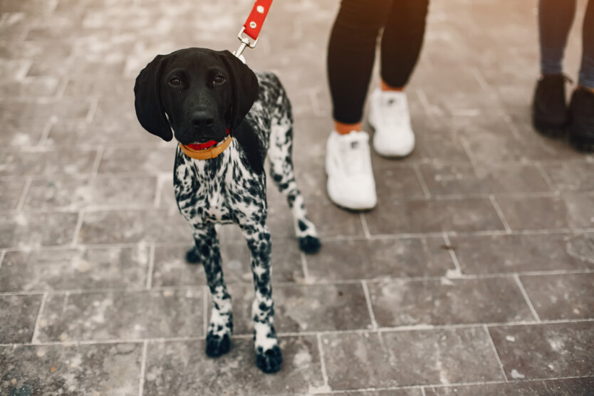 Прогноз погоди в Україні