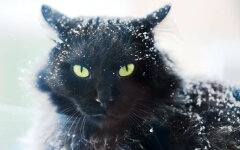 Прогноз погоды в Украине / Фото: Depositphotos