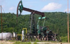 добыча нефти в Карпатах