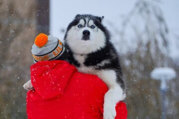 Погода в Украине