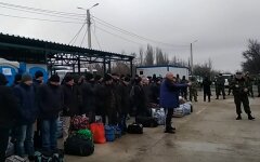 савин