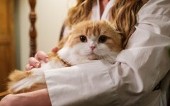 Прогноз погоды в Украине / Фото: Unsplash