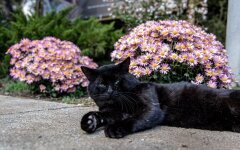 Прогноз погоды