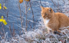 Прогноз погоды в Украине / Фото: Depositphotos