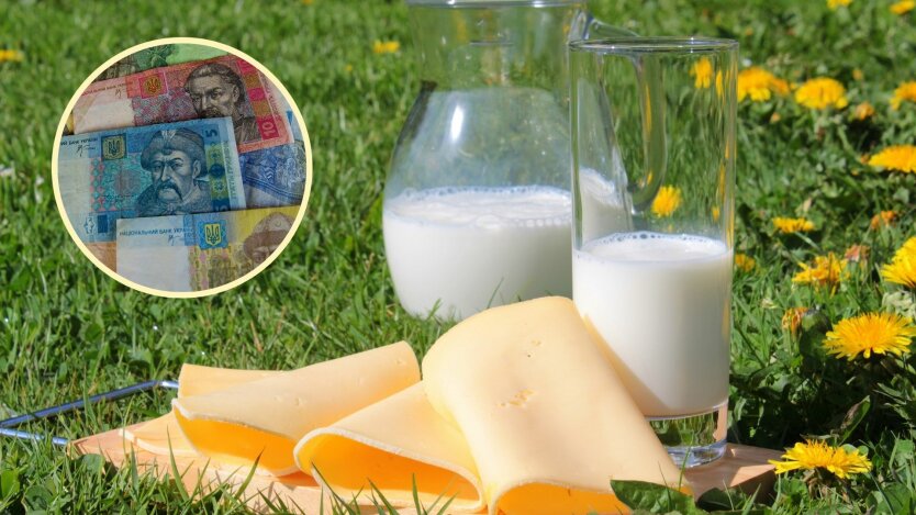 Цены на молоко и сыр, цены минфин, цены в украине