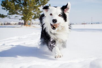 Прогноз погоды в Украине / Фото: Health Magazine ©