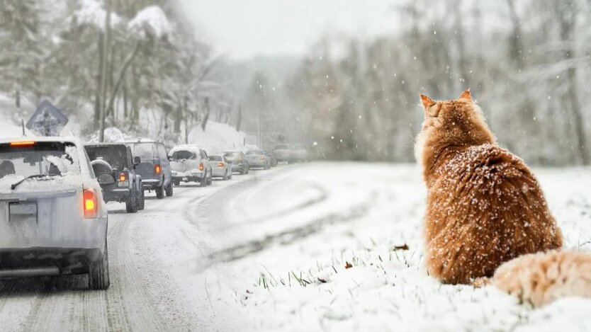 Погода в Україні