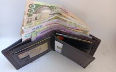Выплаты ВПЛ