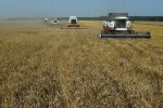 Аграрная отрасль Украины