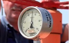 Татьяна Бойко, Цена на газ в Украине, Смена поставщика газа в Украине