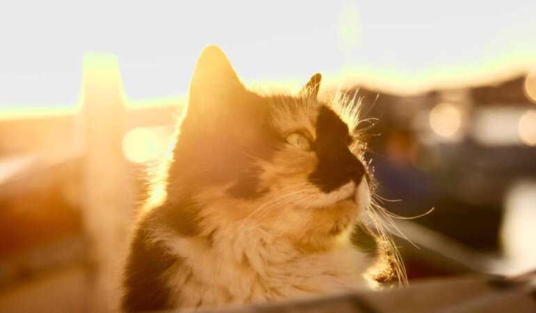 Прогноз погоди в Україні / Фото: Unsplash