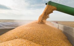 Білорусь дозволить транзит українського зерна з портів Литви, - ООН