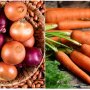 Цены на лук и морковь