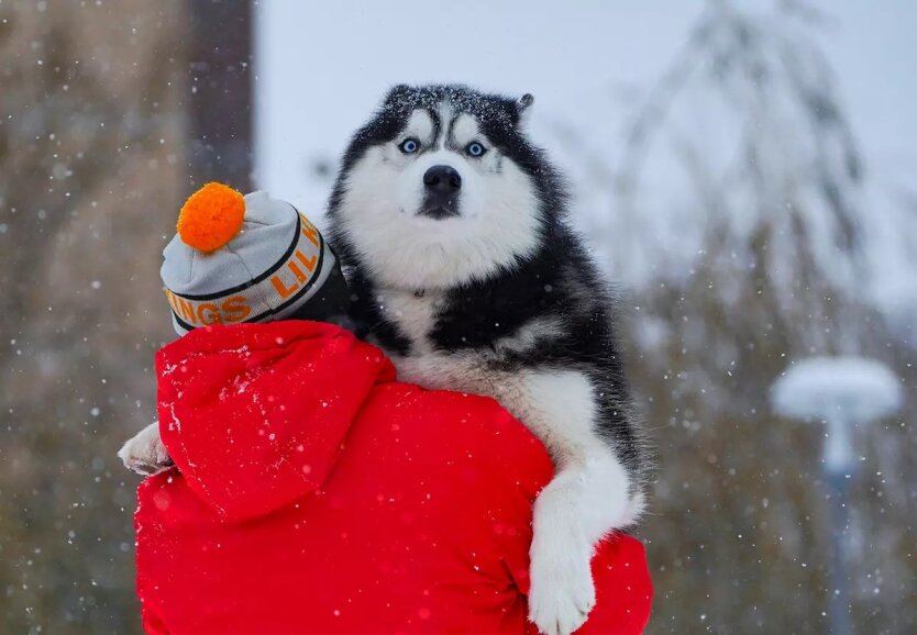 Погода в Украине