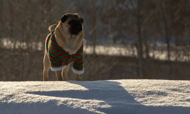 Прогноз погоды в Украине