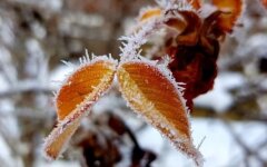 Прогноз погоди в Україні