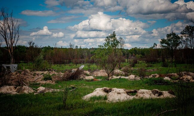 Фортифікації в Україні / Фото: Getty Images