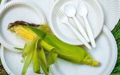 посуда кукуруза