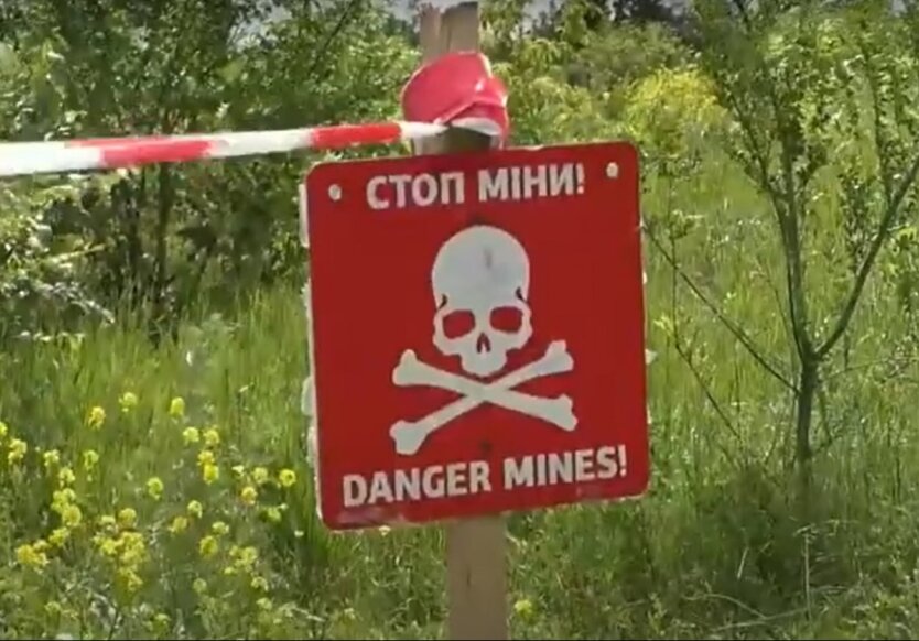 В Украине уже зафиксировали более 2900 фактов вреда окружающей среде