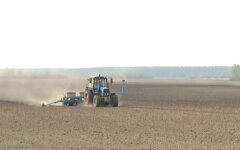 урожай, Украина, зерно, Минэкономики, коронавирус
