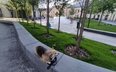 Прогноз погоды в Украине