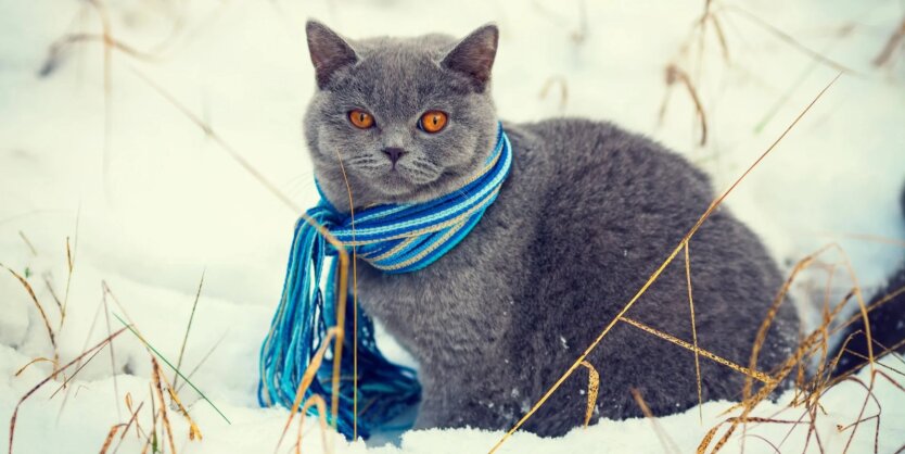 Прогноз погоды в Украине