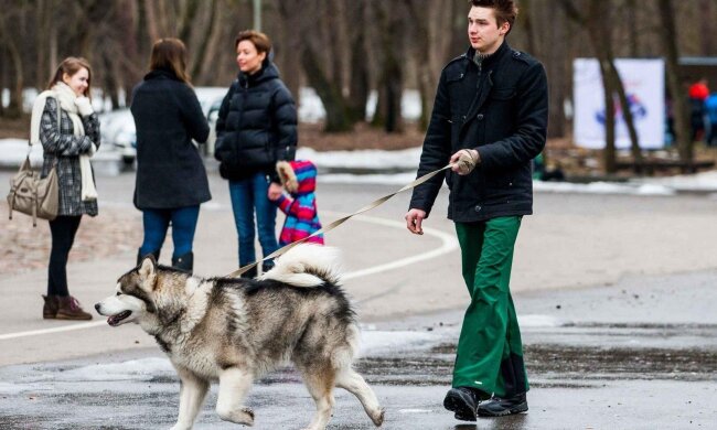 Прогноз погоды в Украине / Фото: Delfi