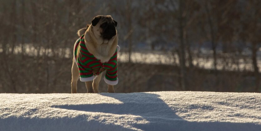 Прогноз погоди в Україні