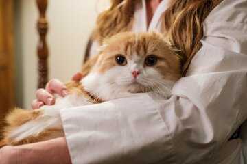 Прогноз погоди в Україні / Фото: Unsplash