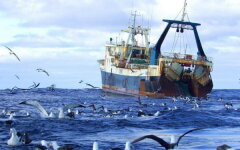 рыболовецкое судно рыбаки море чайки