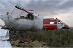 Расследование причин катастрофы рейса МН17,Джерри Скиннер,Трагедия рейса МН17