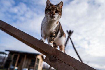 Прогноз погоди в Україні / Фото: Getty Images