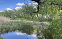 Прогноз погоди в Україні