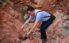 1514880698_china-egge-fossil