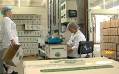 Работа в Украине, Госстат, зарплаты женщин и мужчин