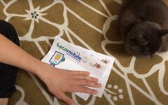 Lycamobile, киевстар, vodafone, lifecell, тарифы