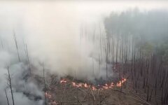 Пожар в Чернобыльской зоне не могут потушить