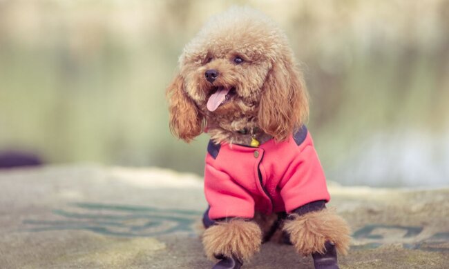 Прогноз погоди в Україні / Фото: Freepik