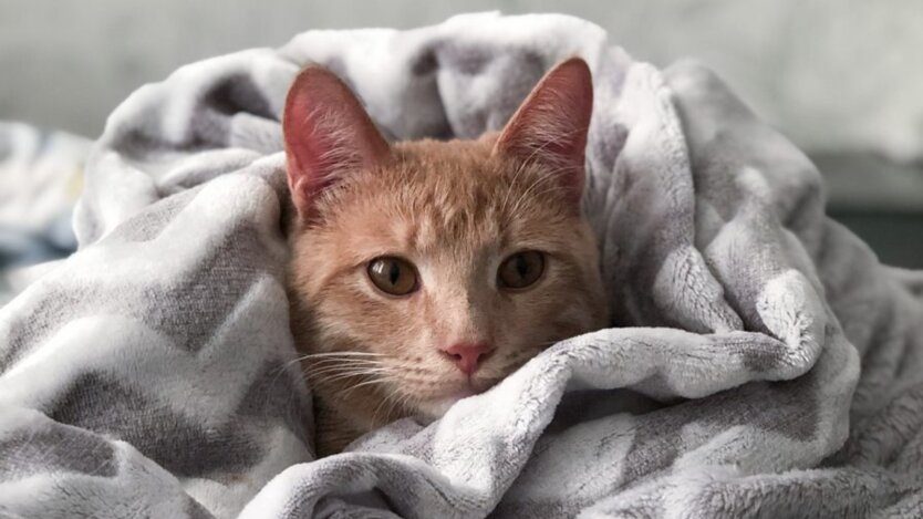 Прогноз погоди в Україні