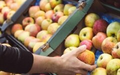 Ціни на яблука